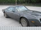 1981 Pontiac Firebird Picture 2