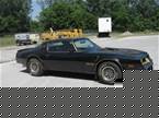 1978 Pontiac Firebird Picture 2