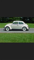 1977 Volkswagen Beetle Picture 2