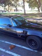 1978 Pontiac Trans Am Picture 2