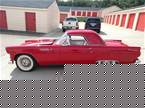 1955 Ford Thunderbird Picture 2