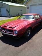 1974 Pontiac Firebird Picture 2