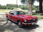 1966 Ford Mustang Picture 2