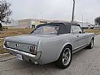 1966 Ford Mustang Picture 2