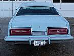 1979 Ford Thunderbird Picture 2