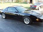 1991 Pontiac Firebird Picture 2