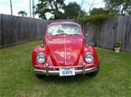 1967 Volkswagen Beetle Picture 2