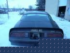 1977 Pontiac Trans Am Picture 2