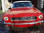 1965 Ford Mustang Picture 2