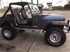 1981 Jeep CJ Picture 2