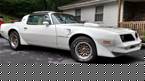 1981 Pontiac Firebird Picture 2