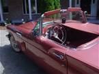 1957 Ford Thunderbird Picture 2