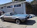 1972 Pontiac Firebird Picture 2