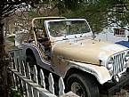 1983 Jeep CJ5 Picture 2