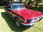 1967 Ford Mustang Picture 2