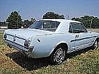 1966 Chevrolet C20 Picture 2