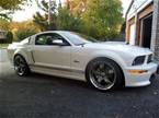 2007 Ford Shelby Picture 2