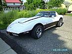 1979 Chevrolet Corvette Picture 2