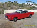 1964 1/2 Ford Mustang Picture 2