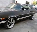 1973 Ford Gran Torino Picture 2