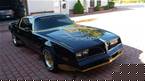 1978 Pontiac Macho Trans Am Picture 2