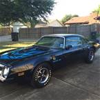 1974 Pontiac Trans Am Picture 2