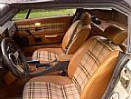 1980 Triumph TR8 Picture 2