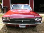 1966 Ford Thunderbird Picture 2