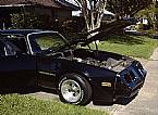 1979 Pontiac Trans Am Picture 2