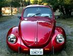 1971 Volkswagen Super Beetle Picture 2