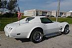 1976 Chevrolet Corvette Picture 2