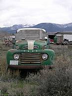 1950 Ford F3 Picture 2