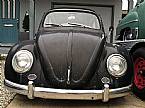 1963 Volkswagen Beetle Picture 2