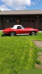 1966 Chevrolet Corvette Picture 2