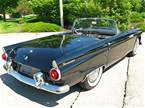1955 Ford Thunderbird Picture 2