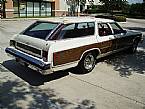 1976 Chevrolet Caprice Estate Picture 2