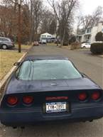 1985 Chevrolet Corvette Picture 2