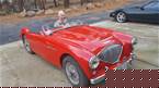 1956 Austin Healey 100-4 Picture 2