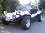 1974 Volkswagen Dune Buggy Picture 2