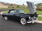 1955 Ford Thunderbird Picture 2