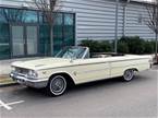 1963 Ford Galaxie Picture 2