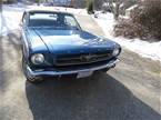 1964 1/2 Ford Mustang Picture 2