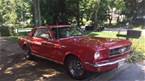 1964 1/2 Ford Mustang Picture 2