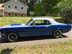 1966 Ford Mustang Picture 2