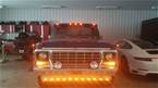 1978 Ford F150 Picture 2