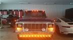 1978 Ford F150 Picture 2
