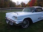 1959 Ford Thunderbird Picture 2