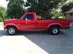 1986 Ford Pickup Picture 2