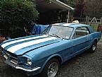 1964.5 Ford Mustang Picture 2