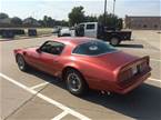 1976 Pontiac Trans Am Picture 2